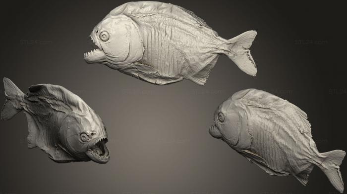 Статуэтки животных (Пиранья, STKJ_1284) 3D модель для ЧПУ станка
